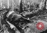 Immagine di Macchinoso United States USA, 1917, secondo 46 filmato di repertorio 65675048519