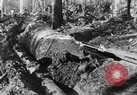 Immagine di Macchinoso United States USA, 1917, secondo 48 filmato di repertorio 65675048519