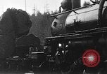 Standbild Stammholz United States USA, 1917, aus Sekunde 1 historischem Filmmaterial Videoclip 65675048520