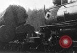 Standbild Stammholz United States USA, 1917, aus Sekunde 3 historischem Filmmaterial Videoclip 65675048520