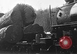 Standbild Stammholz United States USA, 1917, aus Sekunde 4 historischem Filmmaterial Videoclip 65675048520