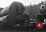 Standbild Stammholz United States USA, 1917, aus Sekunde 5 historischem Filmmaterial Videoclip 65675048520