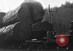 Standbild Stammholz United States USA, 1917, aus Sekunde 6 historischem Filmmaterial Videoclip 65675048520