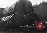 Standbild Stammholz United States USA, 1917, aus Sekunde 7 historischem Filmmaterial Videoclip 65675048520