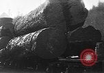 Standbild Stammholz United States USA, 1917, aus Sekunde 8 historischem Filmmaterial Videoclip 65675048520