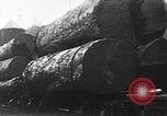 Standbild Stammholz United States USA, 1917, aus Sekunde 9 historischem Filmmaterial Videoclip 65675048520