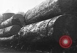 Standbild Stammholz United States USA, 1917, aus Sekunde 10 historischem Filmmaterial Videoclip 65675048520