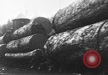 Standbild Stammholz United States USA, 1917, aus Sekunde 11 historischem Filmmaterial Videoclip 65675048520