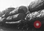 Standbild Stammholz United States USA, 1917, aus Sekunde 12 historischem Filmmaterial Videoclip 65675048520