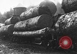 Standbild Stammholz United States USA, 1917, aus Sekunde 13 historischem Filmmaterial Videoclip 65675048520