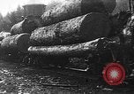 Standbild Stammholz United States USA, 1917, aus Sekunde 14 historischem Filmmaterial Videoclip 65675048520