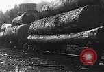 Standbild Stammholz United States USA, 1917, aus Sekunde 15 historischem Filmmaterial Videoclip 65675048520