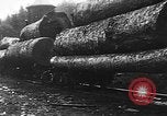 Standbild Stammholz United States USA, 1917, aus Sekunde 16 historischem Filmmaterial Videoclip 65675048520
