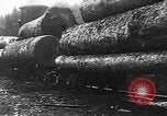 Standbild Stammholz United States USA, 1917, aus Sekunde 17 historischem Filmmaterial Videoclip 65675048520