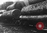 Standbild Stammholz United States USA, 1917, aus Sekunde 18 historischem Filmmaterial Videoclip 65675048520