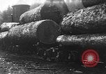 Standbild Stammholz United States USA, 1917, aus Sekunde 19 historischem Filmmaterial Videoclip 65675048520
