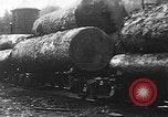 Standbild Stammholz United States USA, 1917, aus Sekunde 20 historischem Filmmaterial Videoclip 65675048520