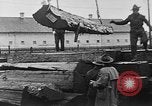 Standbild Stammholz United States USA, 1917, aus Sekunde 22 historischem Filmmaterial Videoclip 65675048520