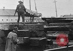 Standbild Stammholz United States USA, 1917, aus Sekunde 25 historischem Filmmaterial Videoclip 65675048520