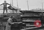 Standbild Stammholz United States USA, 1917, aus Sekunde 26 historischem Filmmaterial Videoclip 65675048520