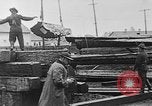 Standbild Stammholz United States USA, 1917, aus Sekunde 27 historischem Filmmaterial Videoclip 65675048520