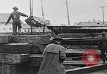 Standbild Stammholz United States USA, 1917, aus Sekunde 28 historischem Filmmaterial Videoclip 65675048520