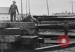 Standbild Stammholz United States USA, 1917, aus Sekunde 31 historischem Filmmaterial Videoclip 65675048520