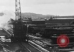Standbild Stammholz United States USA, 1917, aus Sekunde 37 historischem Filmmaterial Videoclip 65675048520