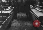Standbild Stammholz United States USA, 1917, aus Sekunde 53 historischem Filmmaterial Videoclip 65675048520