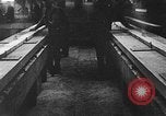 Standbild Stammholz United States USA, 1917, aus Sekunde 55 historischem Filmmaterial Videoclip 65675048520