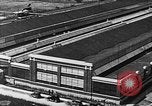 Image of aircraft factory United States USA, 1917, second 10 stock footage video 65675048522