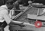 Image les ailes d'avion United States USA, 1917, de la seconde 59 séquences d'archives historiques vidéo 65675048526