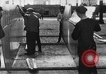 Immagine di Assemblaggio di un piano United States USA, 1917, secondo 49 filmato di repertorio 65675048529
