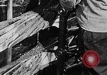 Image of propellers of an aircraft United States USA, 1917, second 19 stock footage video 65675048534