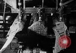 Image of propellers of an aircraft United States USA, 1917, second 22 stock footage video 65675048534
