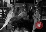 Image of propellers of an aircraft United States USA, 1917, second 34 stock footage video 65675048534