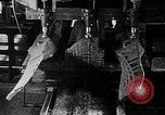 Image of propellers of an aircraft United States USA, 1917, second 35 stock footage video 65675048534