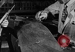Image of propellers of an aircraft United States USA, 1917, second 36 stock footage video 65675048535