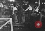 Standbild fliegende Boote United States USA, 1917, aus Sekunde 10 historischem Filmmaterial Videoclip 65675048544