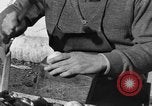 Standbild Jai Alai ball Spanien, 1956, aus Sekunde 56 historischem Filmmaterial Videoclip 65675048547