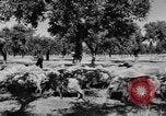 Standbild Burgen Spanien, 1956, aus Sekunde 9 historischem Filmmaterial Videoclip 65675048550