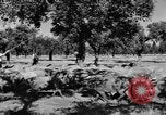 Standbild Burgen Spanien, 1956, aus Sekunde 10 historischem Filmmaterial Videoclip 65675048550