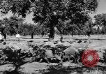 Standbild Burgen Spanien, 1956, aus Sekunde 11 historischem Filmmaterial Videoclip 65675048550