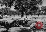 Standbild Burgen Spanien, 1956, aus Sekunde 12 historischem Filmmaterial Videoclip 65675048550