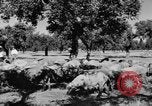 Standbild Burgen Spanien, 1956, aus Sekunde 13 historischem Filmmaterial Videoclip 65675048550
