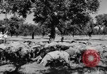Standbild Burgen Spanien, 1956, aus Sekunde 14 historischem Filmmaterial Videoclip 65675048550