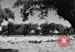 Standbild Burgen Spanien, 1956, aus Sekunde 18 historischem Filmmaterial Videoclip 65675048550