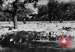 Standbild Burgen Spanien, 1956, aus Sekunde 20 historischem Filmmaterial Videoclip 65675048550