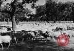 Standbild Burgen Spanien, 1956, aus Sekunde 21 historischem Filmmaterial Videoclip 65675048550