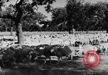 Standbild Burgen Spanien, 1956, aus Sekunde 22 historischem Filmmaterial Videoclip 65675048550